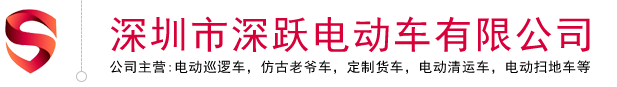 深圳市深躍電動車有限公司